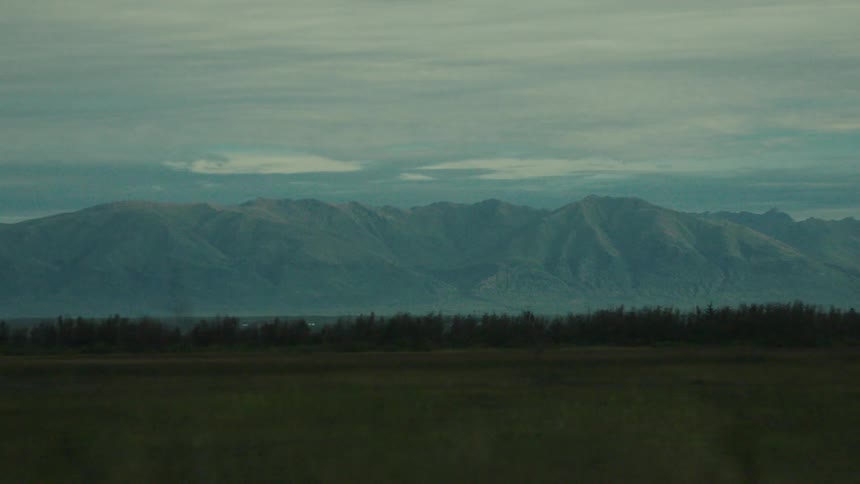 Forest separates a fieldfrom the mountains under an overcast sky on a foggy day