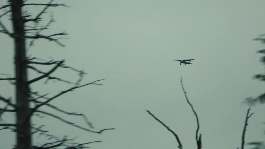 Airplane flying over trees against a cloudy sky outdoors during day time