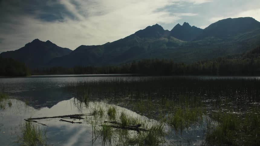 A wide slightly lowangle shot captures a dark placid lake with lush green grasses and reeds in the foreground towering jagged mountains covered in dark foliage dominate the background and reflect in the water under a dramatic overcast sky