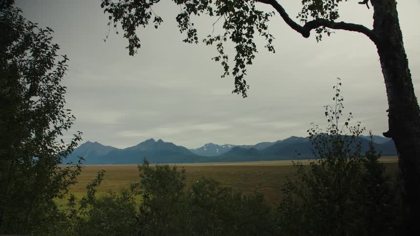 Vast alaskan tundra with distant snow capped mountains under overcast sky