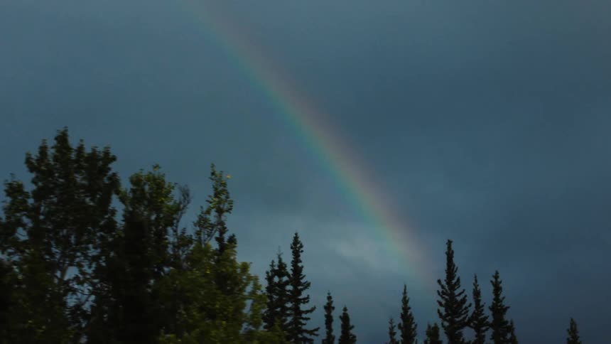 A faint rainbow arches above dark clouds and tall pine trees