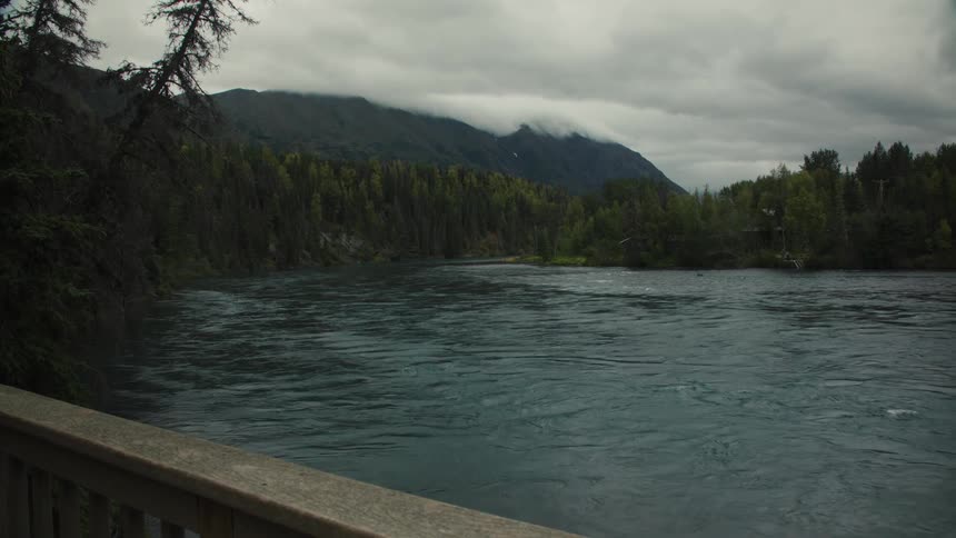 River surrounded by trees next to a bridge outdoors
