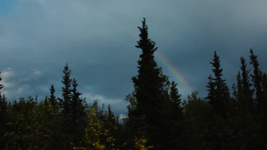 A closeup shot captures the tip of a rainbow that brightly arcs against a dark cloudy sky over a darksilhouetted tree line to the left a steep grassy hill is dramatically illuminated by a shaft of yelloworange light that cuts through th