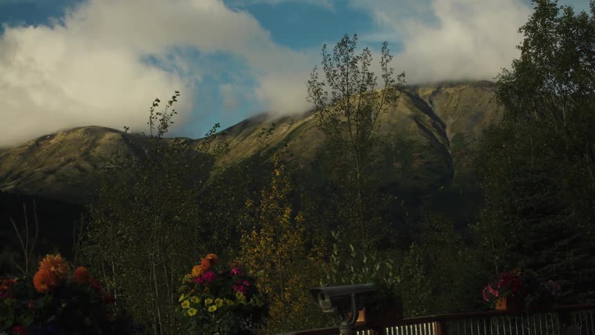 Beautiful scenic view with flowers in foreground and majestic mountains behind