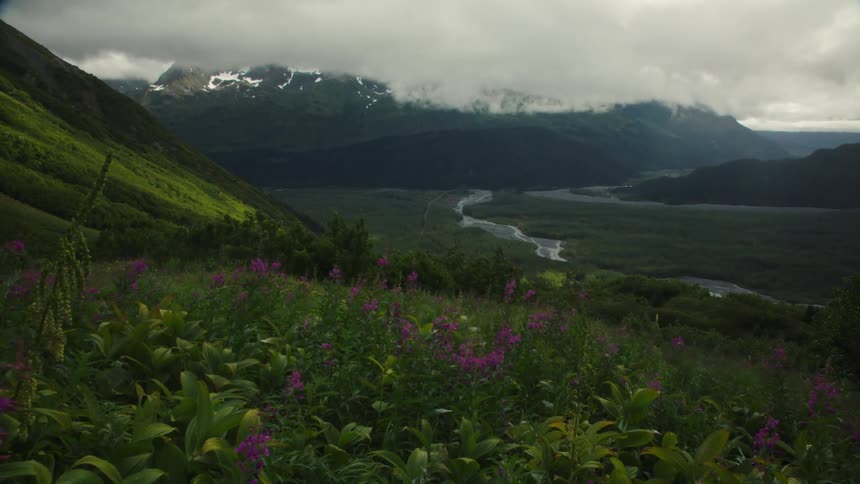 A lush green valley with wildflowers overlooking river and misty mountains