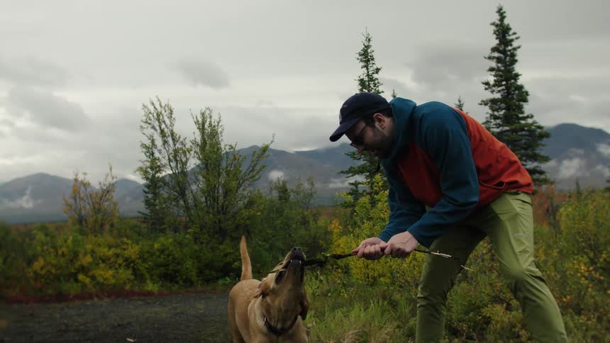 A male human being wearing an outdoor jacket plays tugofwar with a stick against a mediumsized tan dog on a dirt path surrounded by green trees and distant mountains