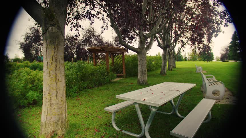 White picnic table on grassy area surrounded by redleaved trees and gazebo in the background