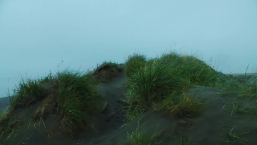 Closeup of windswept sand dune with tall grass under overcast sky