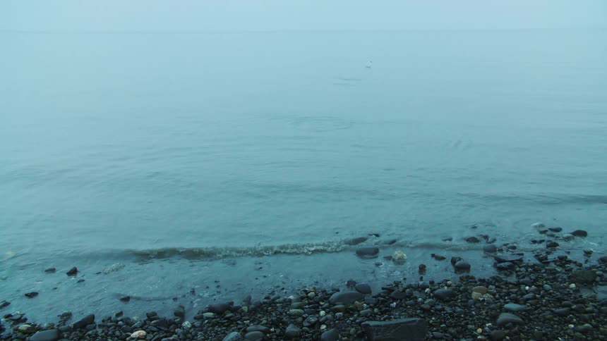 Stone skimming over a body of water from the shore during daytime