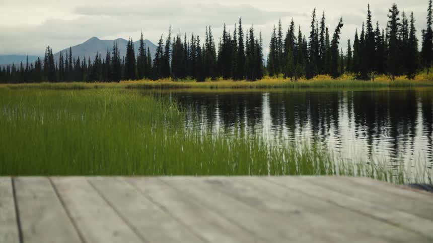 Calm lake surrounded by pine trees and vegetation with mountains in the background