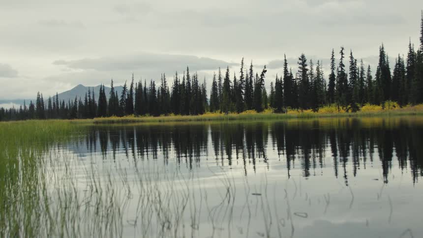 A calm lake lies still at midday bordered by trees and grasses along its edges