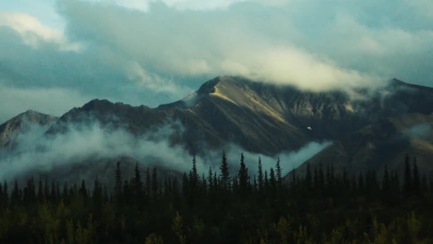 A misty mountain range rises above a pine forest beneath a cloudy sky
