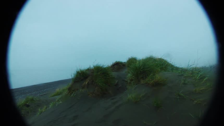 Cloudy coastal landscape with low vegetation on dark sand
