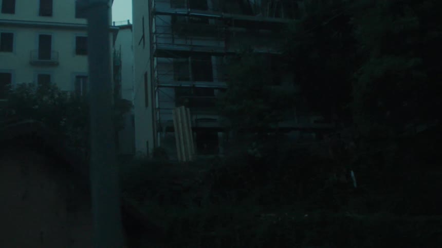 A series of abandoned city buildings overgrown with grass and plants at midday