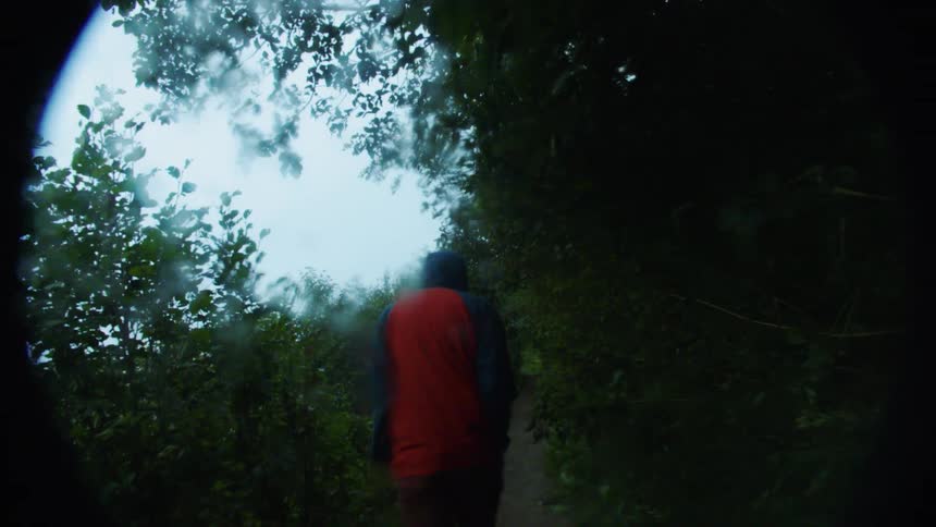 Person in red and blue hooded jacket walking along narrow path surrounded by dense foliage