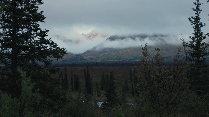 A grassland with scattered trees stretches across the foreground while a volcanic mountain shrouded in fog rises in the background under the midday sun