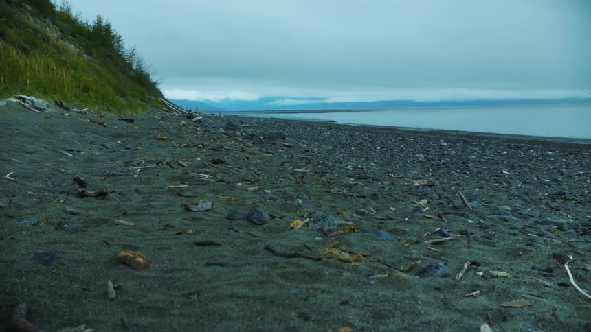 A beachside scene with the ocean in the background set beneath a cloudy sky