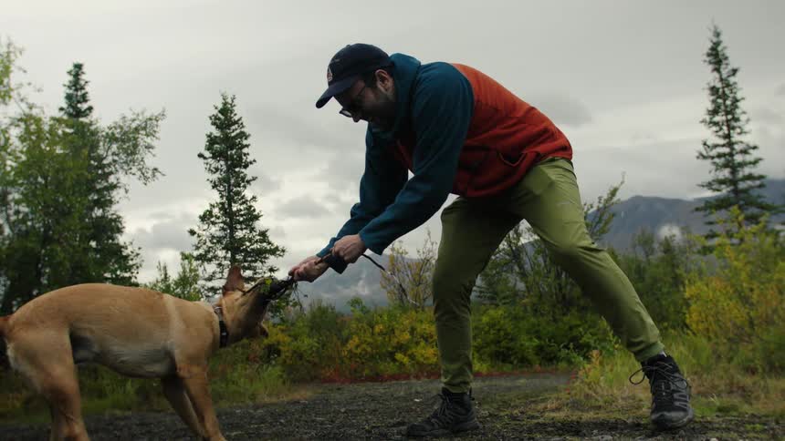 Person playing with dog in mountainous area surrounded by trees under cloudy sky