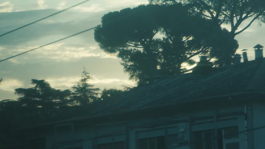 Tall trees are around the homes