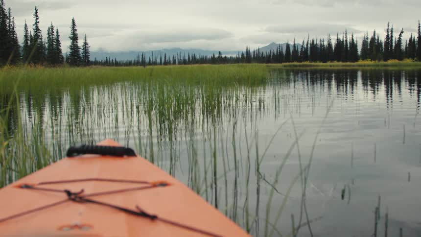 Orange kayak glides through calm waters surrounded by vegetation and pine trees in the background