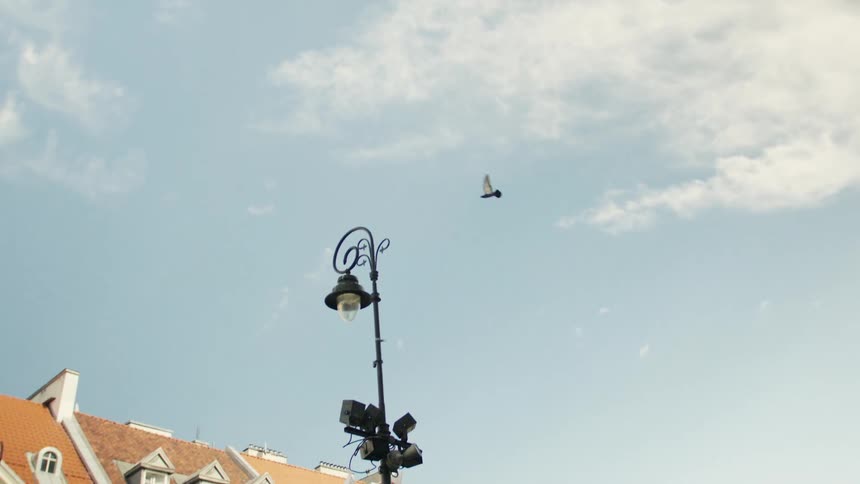 Ornate lamppost and birds in flight under a blue sky with light clouds