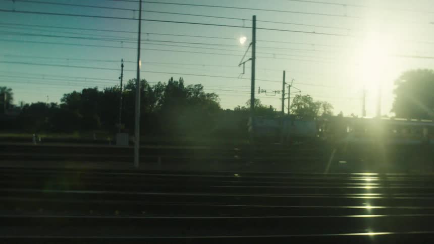 Train parked on a railway track surrounded by trees and vegetation outdoors during dusk or dawn