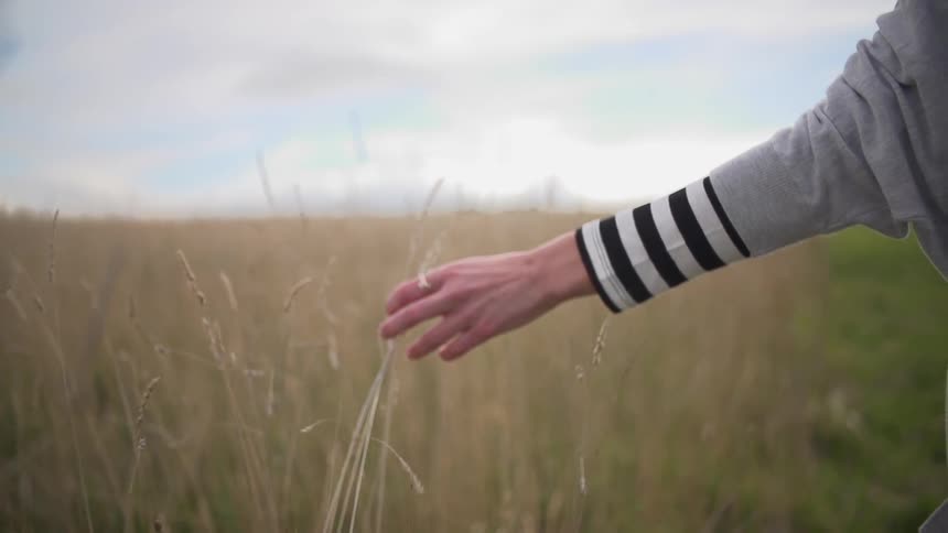Woman touching tall grass in a field