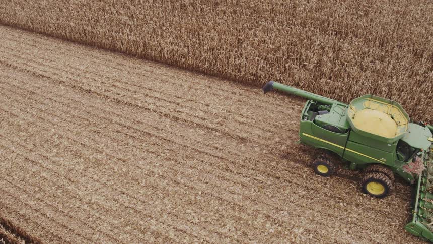 An aerial view shows a green combine harvester cutting through a dry cornfield unloading auger extended and the grain tank heaped with yellow kernels