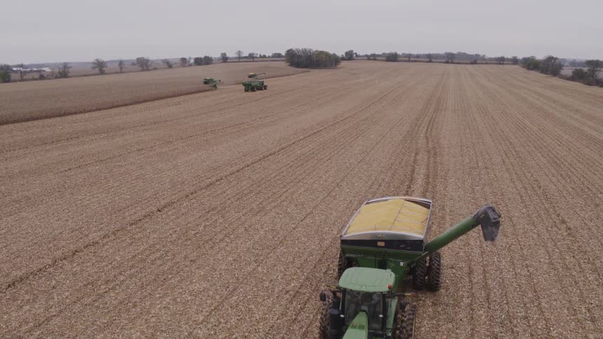 In a vast harvested field under a gray sky two green tractors with grain carts sit in long rows