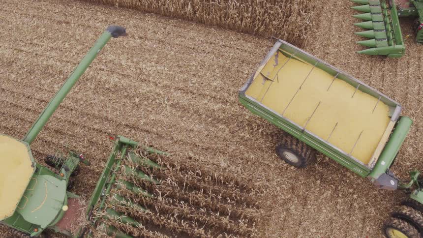 Combine harvester transferring corn into a trailer in the middle of the field
