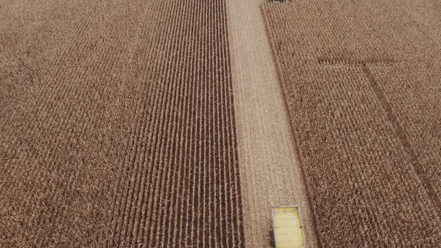 The tractor is dragging a trailer full of harvested grain