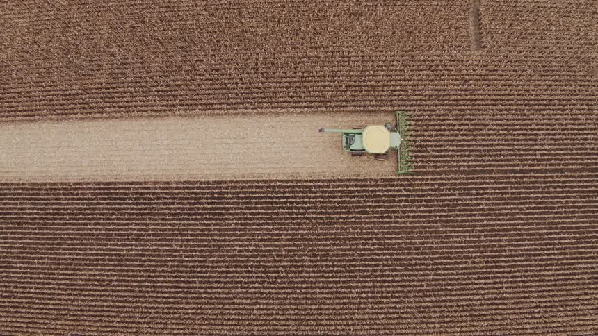 A combine harvester cuts through rows of a brown crop field