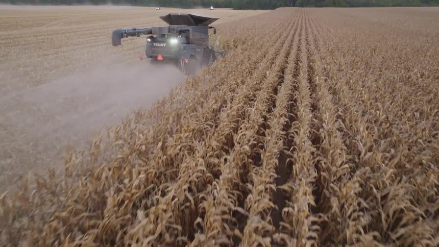Combine harvester operating while harvesting corn in a vast field