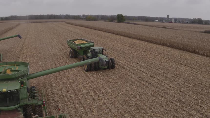 A tractor harvests corn from a vast cornfield at midday transferring the golden yield into a nearby trailer across the expansive farmland