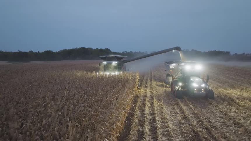 A combine harvester transfers harvested corn into a tractor trailer at dusk