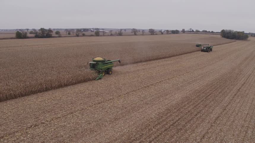 At the edge of a vast dry cornfield a green combine cuts a fresh swath while a tractor with a grain cart waits alongside on the stubble under a hazy sky