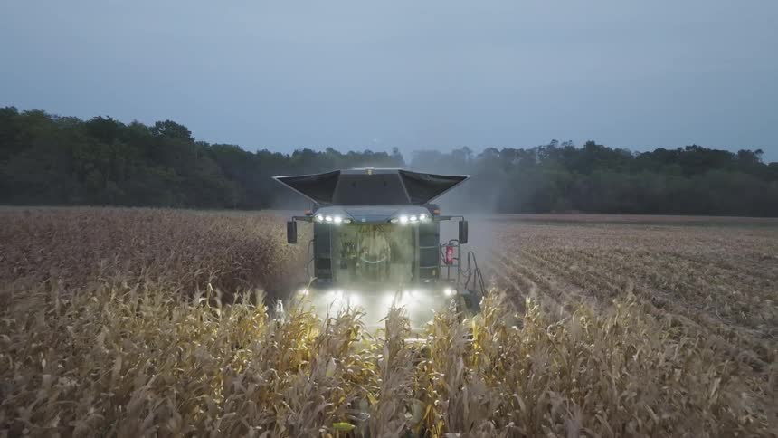 Combine harvester cutting crops outdoors on a field with a forest on the background