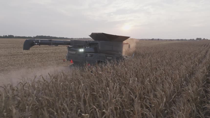 Combine harvester operating in a cornfield at sunset raising clouds of dust