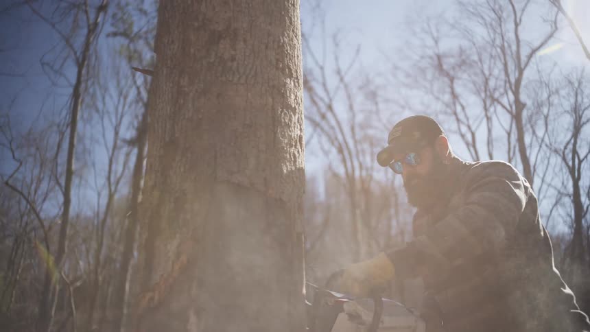 Lumberjack using a chainsaw to cut a tree in a sunlit forest