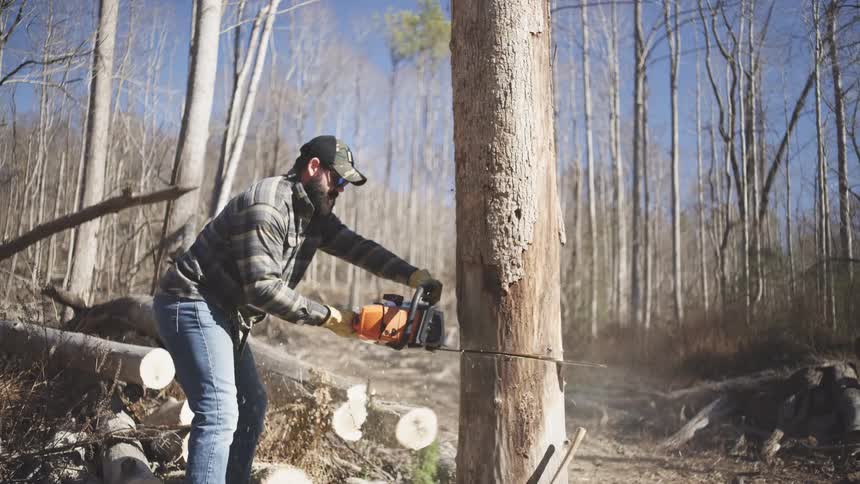 A man in gloves and a cap cuts into a standing tree with an orange chainsaw face concentrated as sawdust sprays