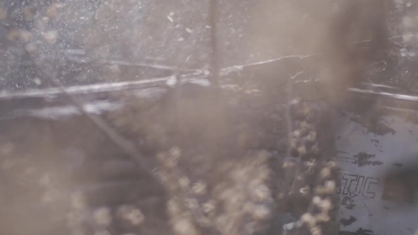 Closeup of a chainsaw chain cutting through wood with sawdust flying around