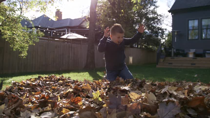 A young boy happily jumps and plays in a large pile of autumn leaves in a sunny residential backyard the sun flares brightly as he throws the crunchy brown and gold leaves up into the air with great enthusiasm