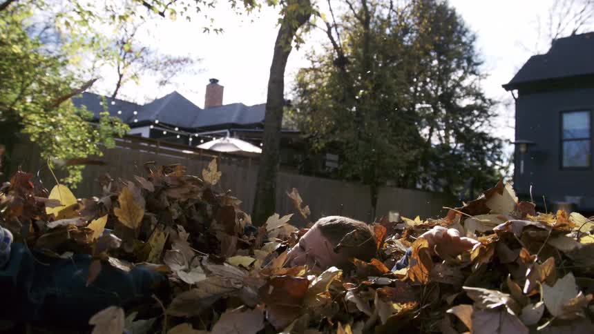 In a sunny backyard a child joyfully burrows into a big pile of autumn leaves while a dog wanders in the background