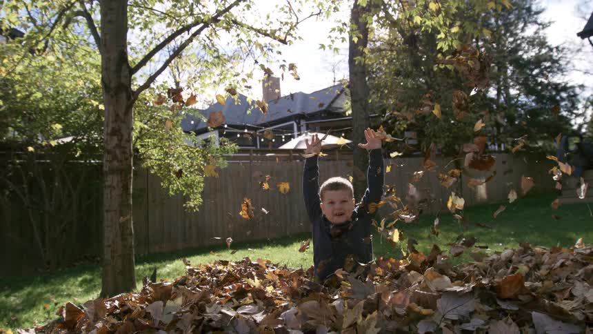 Male child playing in a leaf pile outdoors in a yard during daytime
