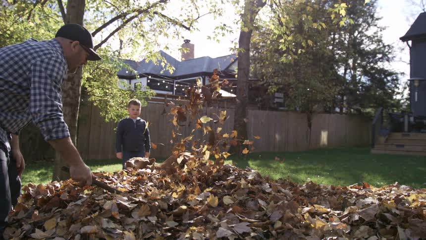A man uses a stick to toss a pile of autumn leaves into the air in a sunlit backyarda young boy and a brown dog watch the leaves fall with a wooden fence and houses visible in the background