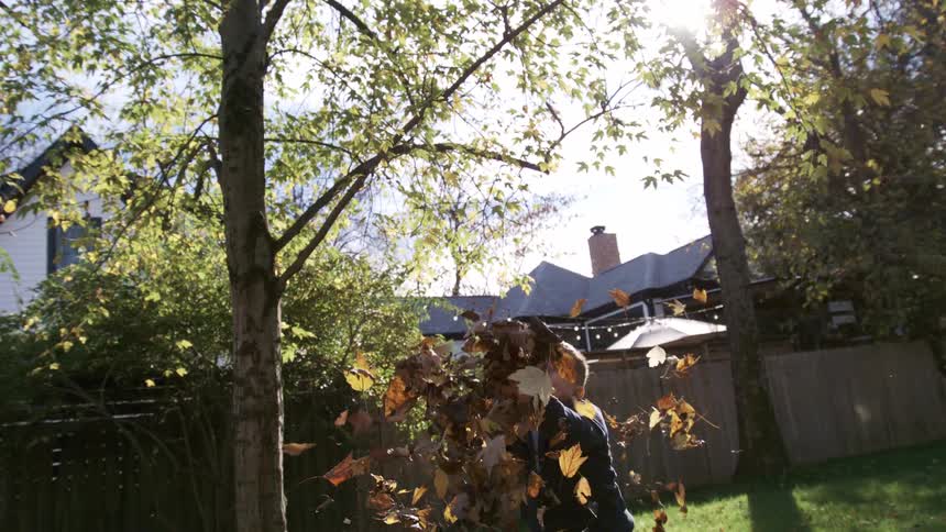 A little boy plays in a pile of leaves in a fenced in yard in the suburbs