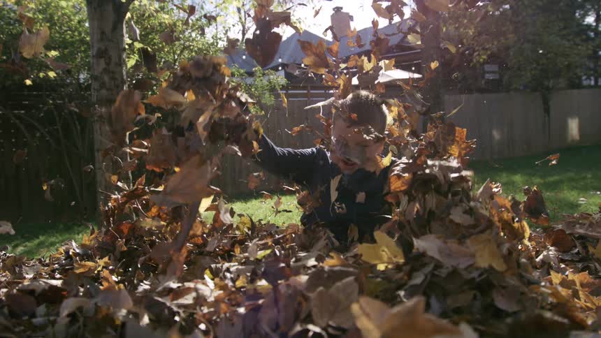 A young boy pops up from a large pile of golden autumn leaves and throws handfuls of them high into the airhe laughs and smiles in the bright sun clearly enjoying the classic fall activity in a residential backyard