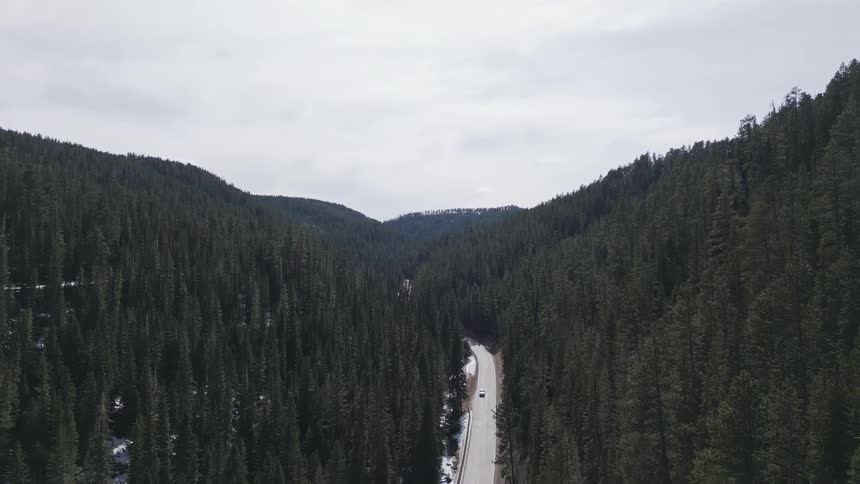 A car drives along a winding mountain road surrounded by a forest