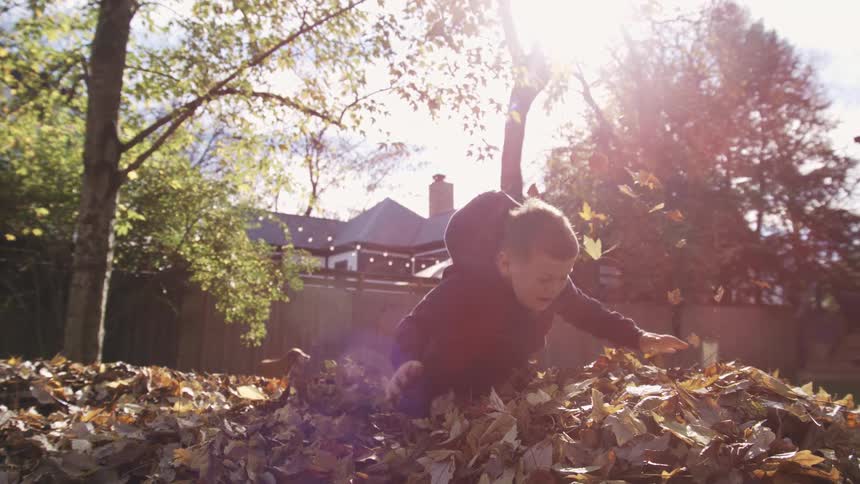 A kid in a hoodie leaps into a pile of fallen leaves in a sunny backyard disappearing into the rustling heap as the leaves engulf him