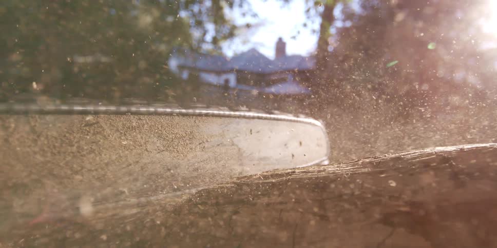 A sunlit closeup shows a chainsaw bar skimming through a log as dust specks float with a house softly blurred in the background